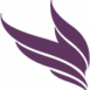 SkyStrip